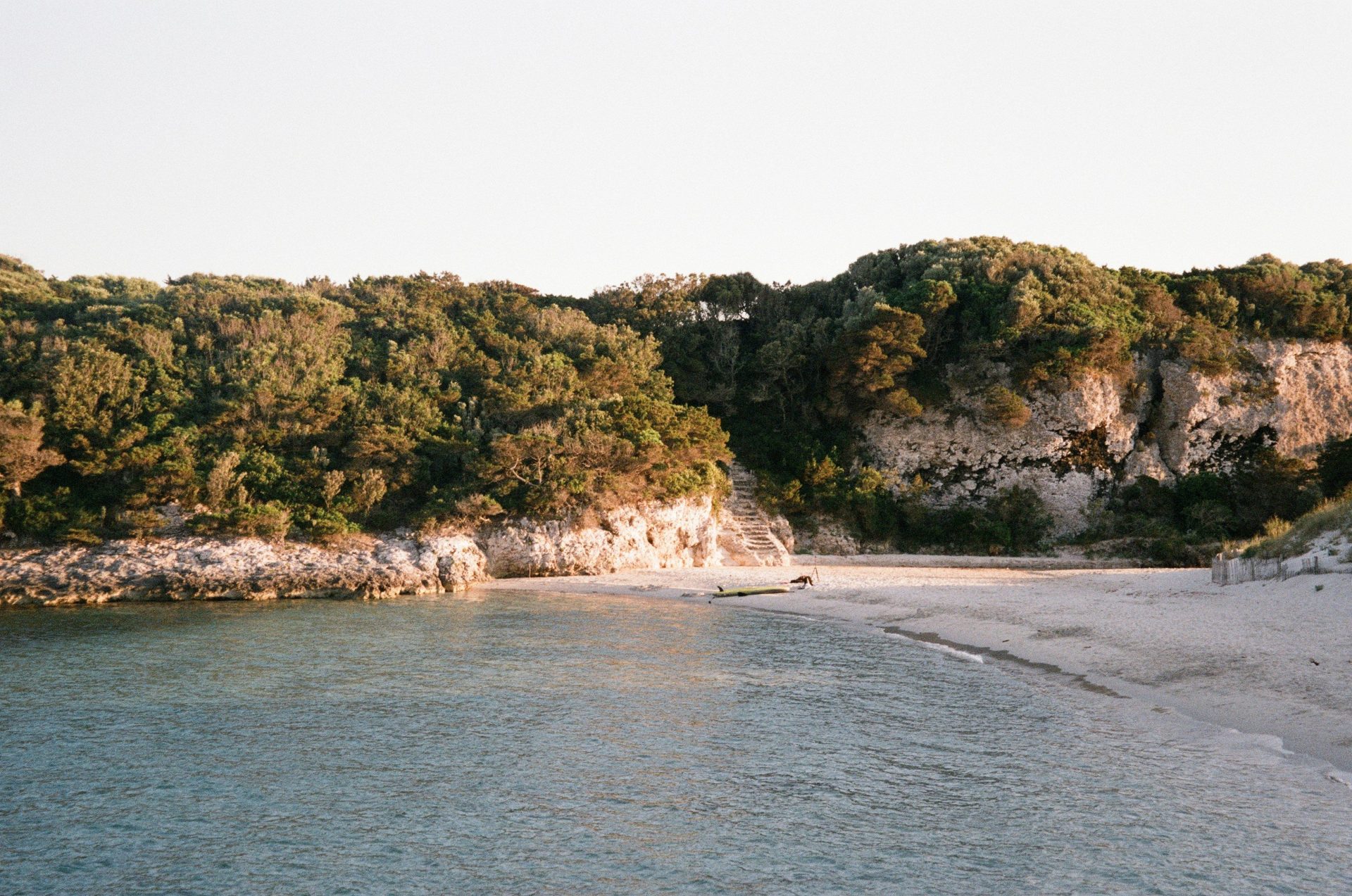 arbres verts sur l'île pendant la journée
